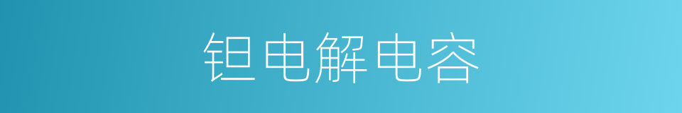 钽电解电容的同义词