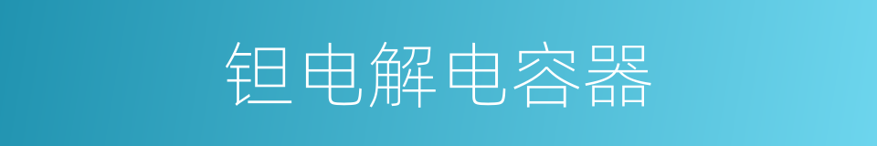 钽电解电容器的同义词