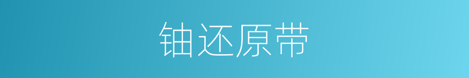 铀还原带的同义词