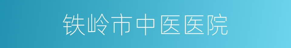 铁岭市中医医院的同义词