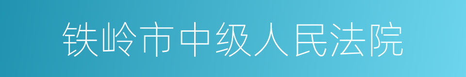 铁岭市中级人民法院的同义词