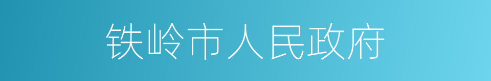 铁岭市人民政府的同义词