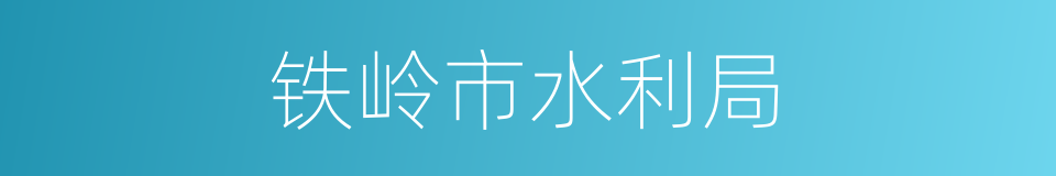 铁岭市水利局的同义词