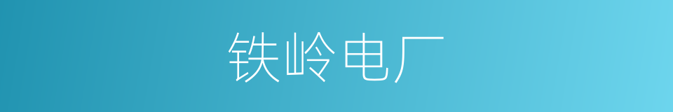铁岭电厂的同义词