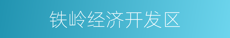 铁岭经济开发区的同义词