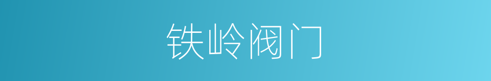 铁岭阀门的同义词