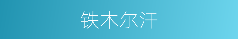 铁木尔汗的同义词