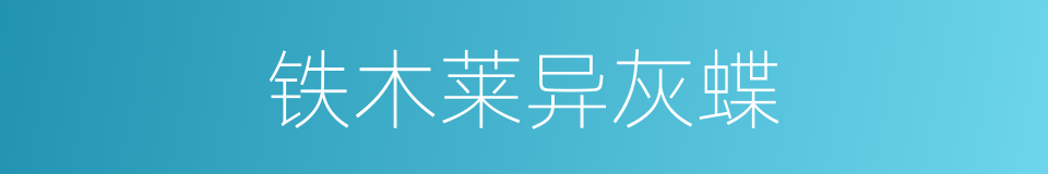 铁木莱异灰蝶的同义词