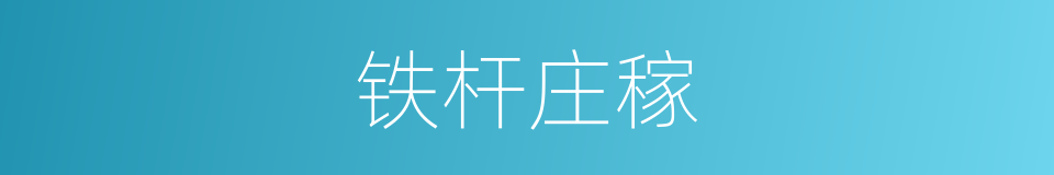 铁杆庄稼的同义词