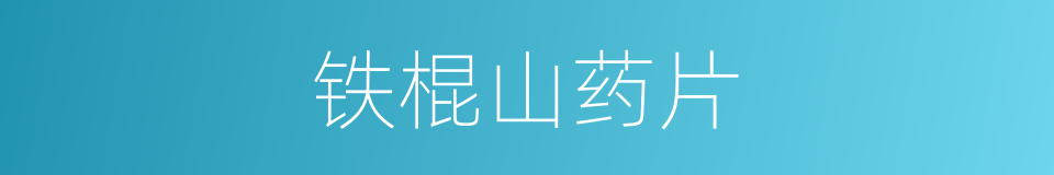铁棍山药片的同义词