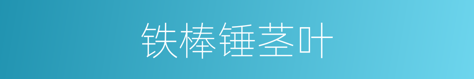 铁棒锤茎叶的同义词