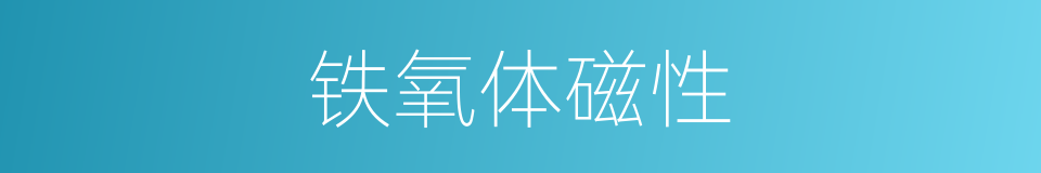 铁氧体磁性的同义词