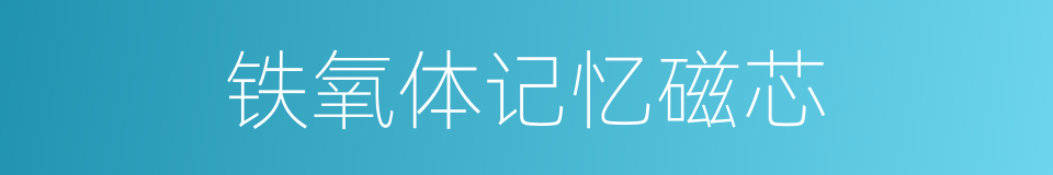 铁氧体记忆磁芯的同义词
