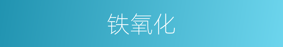 铁氧化的同义词