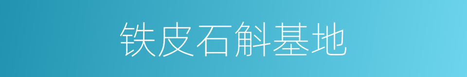 铁皮石斛基地的同义词