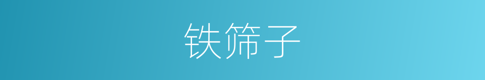 铁筛子的同义词