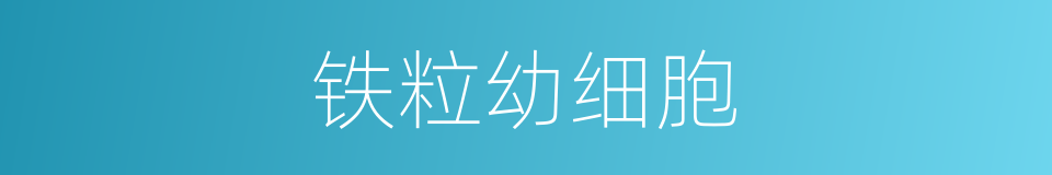 铁粒幼细胞的同义词