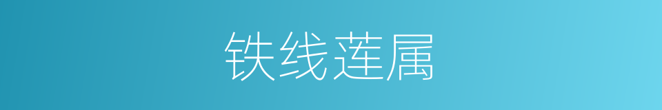 铁线莲属的同义词
