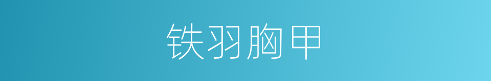 铁羽胸甲的同义词