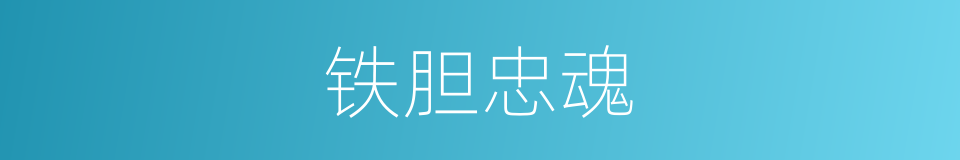铁胆忠魂的同义词