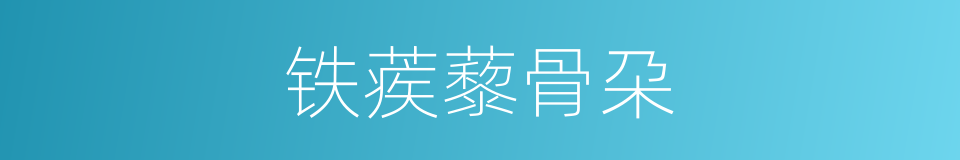 铁蒺藜骨朶的意思