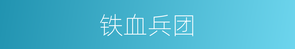 铁血兵团的同义词