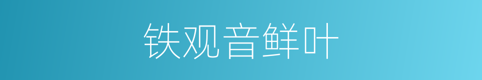铁观音鲜叶的同义词