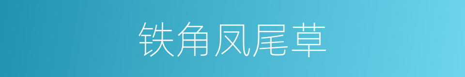 铁角凤尾草的同义词
