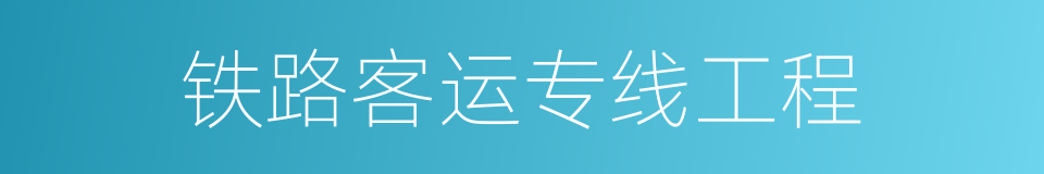 铁路客运专线工程的同义词