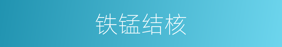 铁锰结核的同义词
