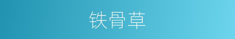 铁骨草的同义词