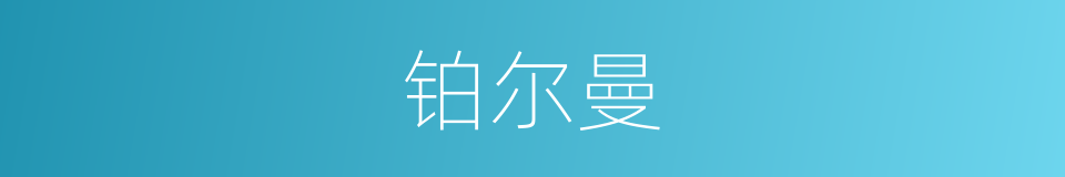 铂尔曼的同义词