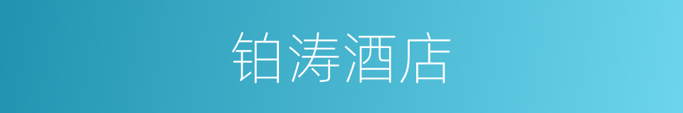 铂涛酒店的同义词