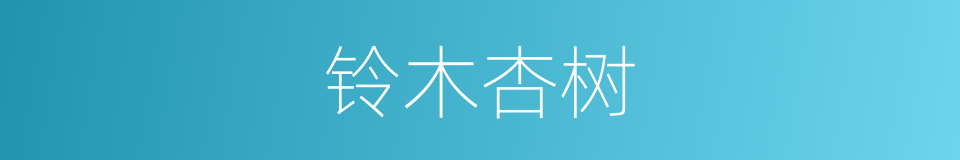 铃木杏树的同义词