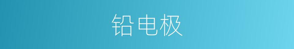 铅电极的同义词