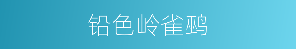 铅色岭雀鹀的同义词