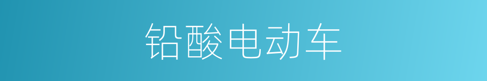 铅酸电动车的同义词