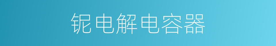 铌电解电容器的同义词