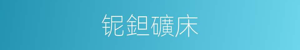 铌鉭礦床的意思