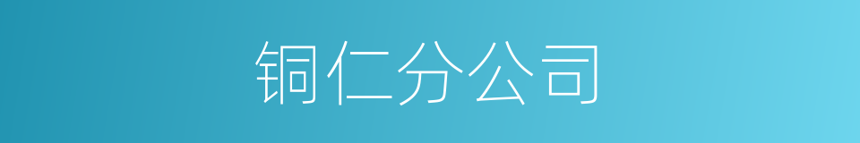 铜仁分公司的同义词