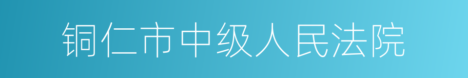 铜仁市中级人民法院的同义词