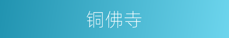 铜佛寺的同义词