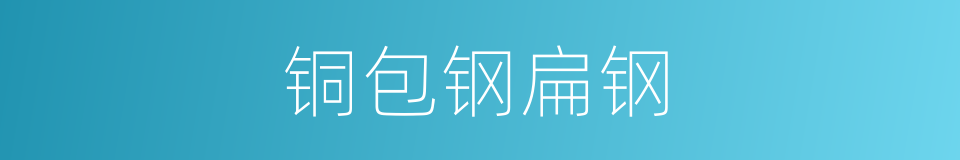 铜包钢扁钢的同义词