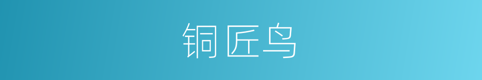 铜匠鸟的意思