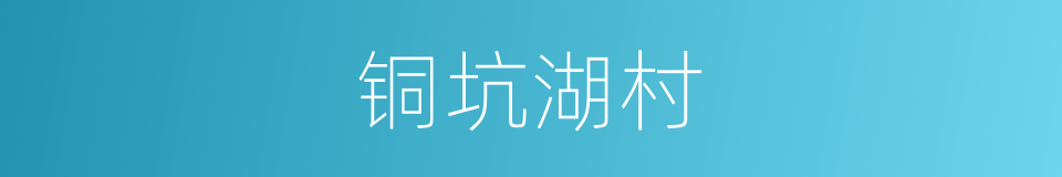 铜坑湖村的同义词