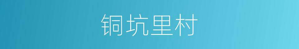 铜坑里村的同义词