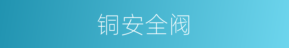 铜安全阀的同义词