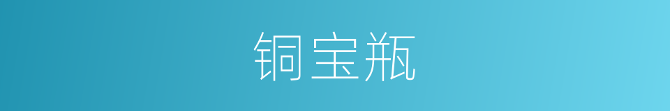 铜宝瓶的同义词
