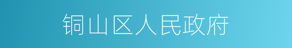 铜山区人民政府的同义词