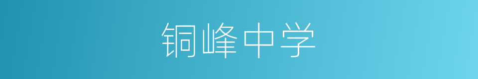 铜峰中学的同义词